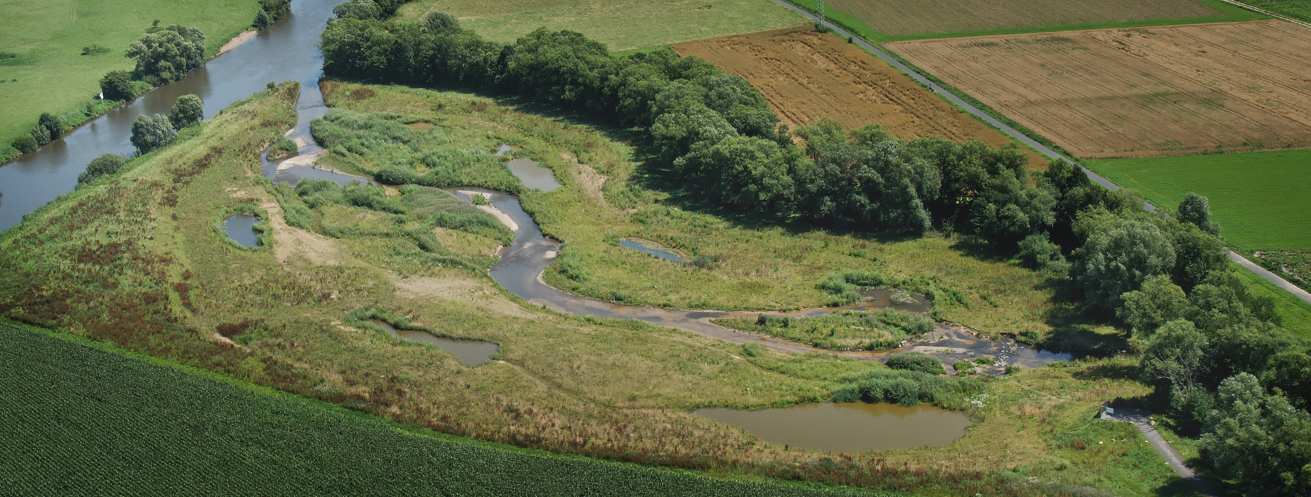 Reanurierte Mndung der Losse bei Kassel (2005) 