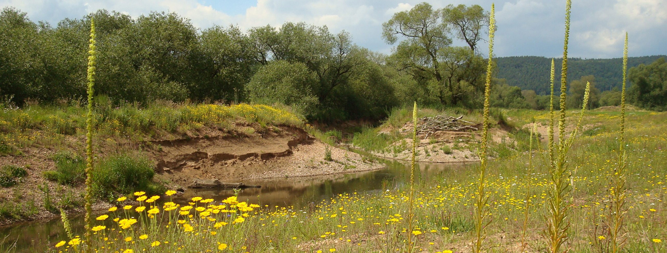 Neu angelegte Verzweigungstrecke an der Fulda unterhalb von Bad Hersfeld